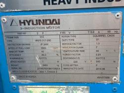 Hyundai 1000 HP 3600 RPM 315 Squirrel Cage Motors 90711